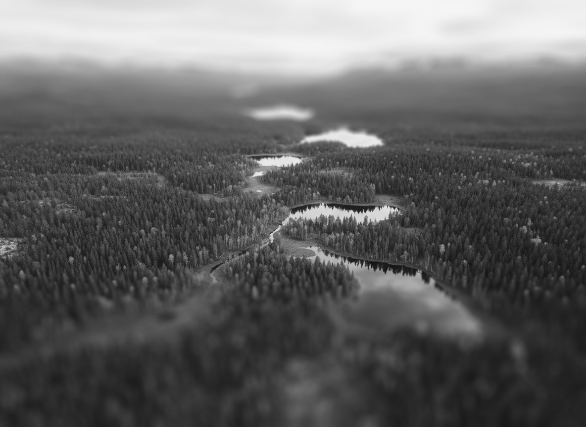 Advance Lab Carbon Transparency Report 2025 — Forest
